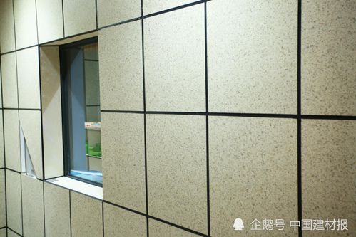 从涂料生产商到系统服务商 创新开拓差异化道路