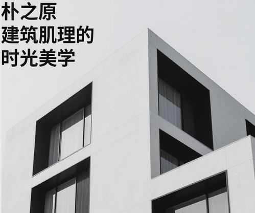 新型混凝土装饰板材 重构建筑的文化诗学